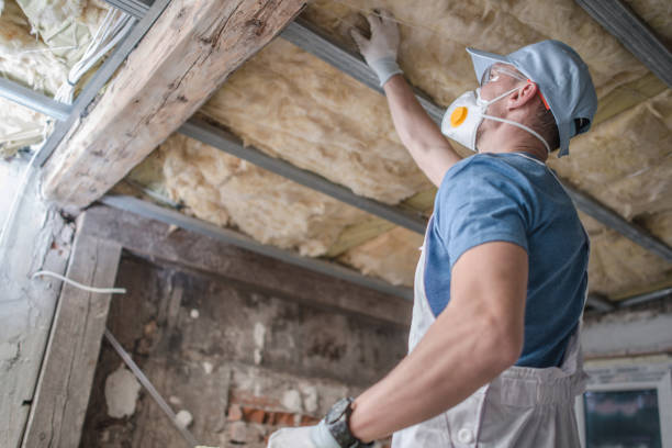 Best Insulation Maintenance and Repair in Union, MS