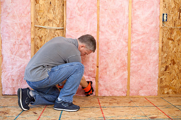 Best DIY Insulation Kits and Guidance in Union, MS