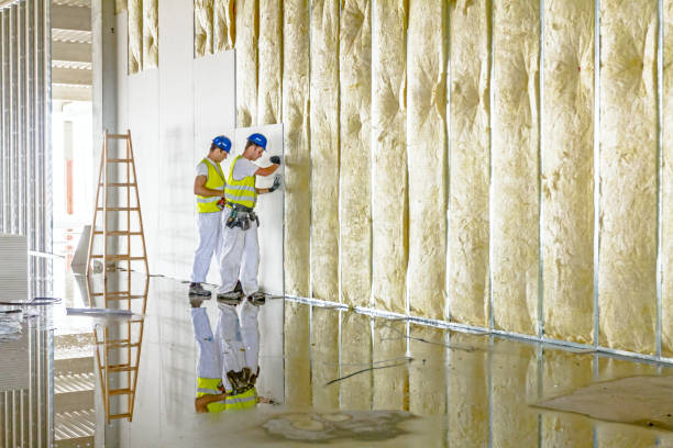Professional Insulation Contractor in Union, MS